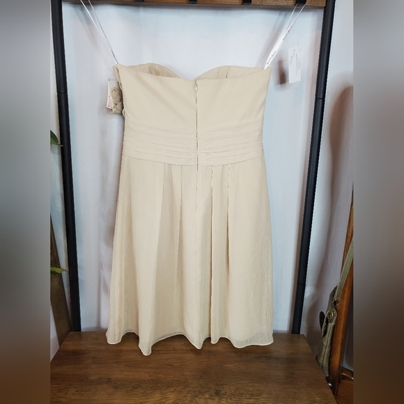 David's bridal NWT strapless crinkle chiffon mini dress. Womens Size 8. NWT! - Picture 4 of 13